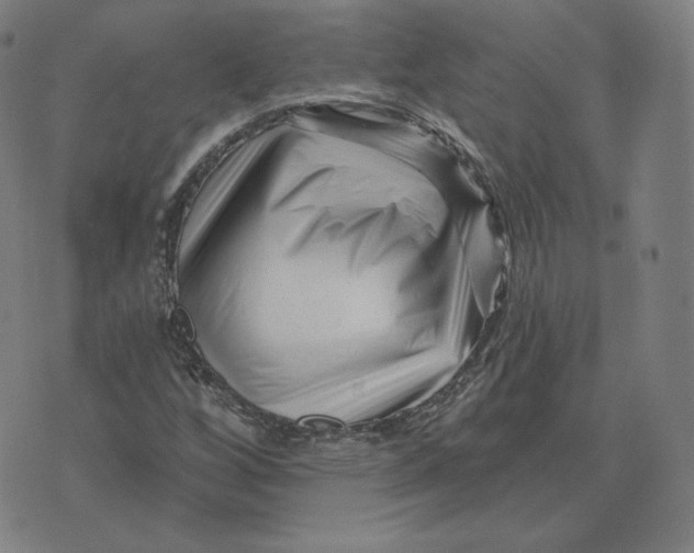 X0000073741256200608241313