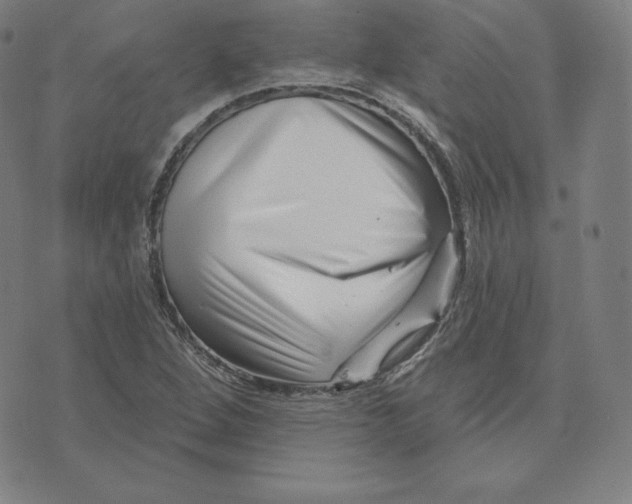 X0000073741264200608241313