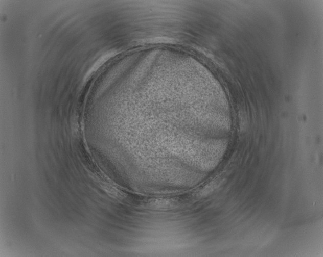 X0000073741266200608241313