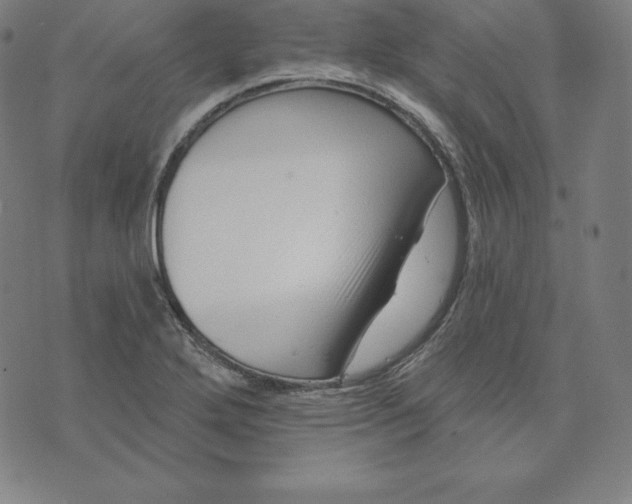 X0000073741272200608241313