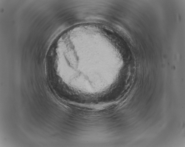 X0000073741275200608241313