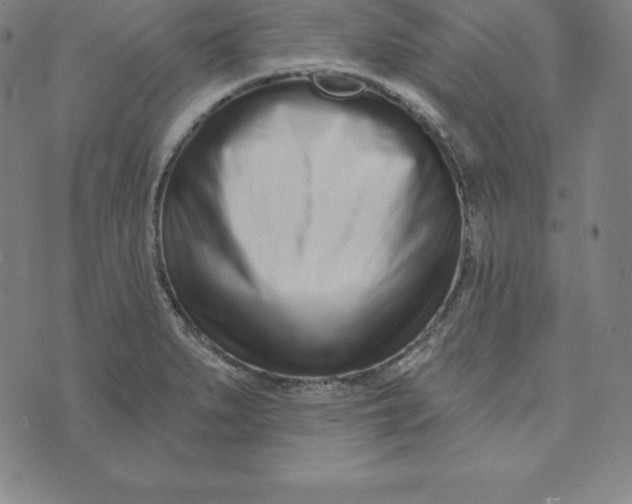 X0000073741279200608241313