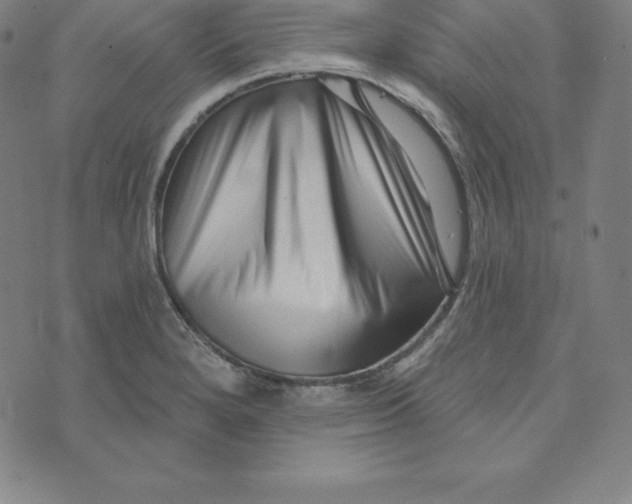 X0000073741280200608241313