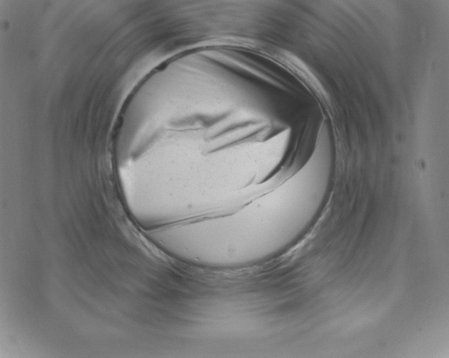 X0000073741292200608241312