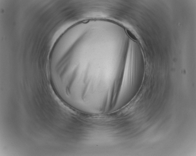X0000073741295200608241312