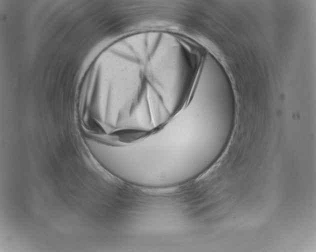 X0000073741296200608241312