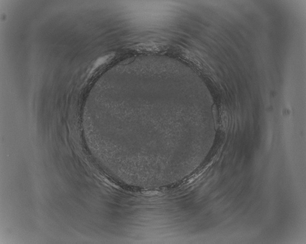 X0000073741297200608241312