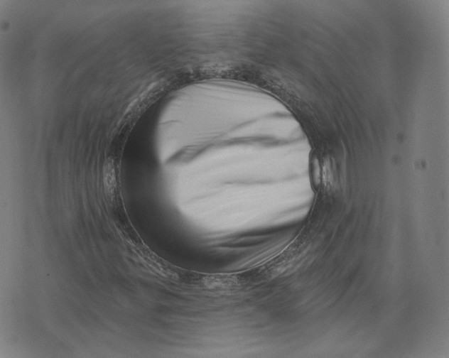 X0000073741299200608241312