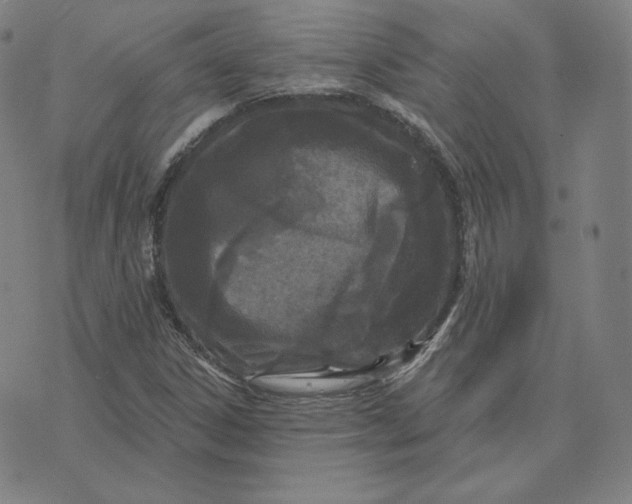 X0000073741306200608241312
