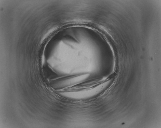 X0000073741307200608241312