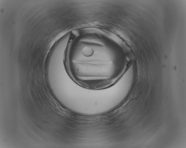 X0000073741308200608241312