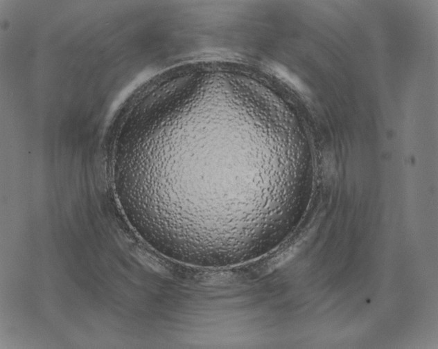 X0000073741310200608241312