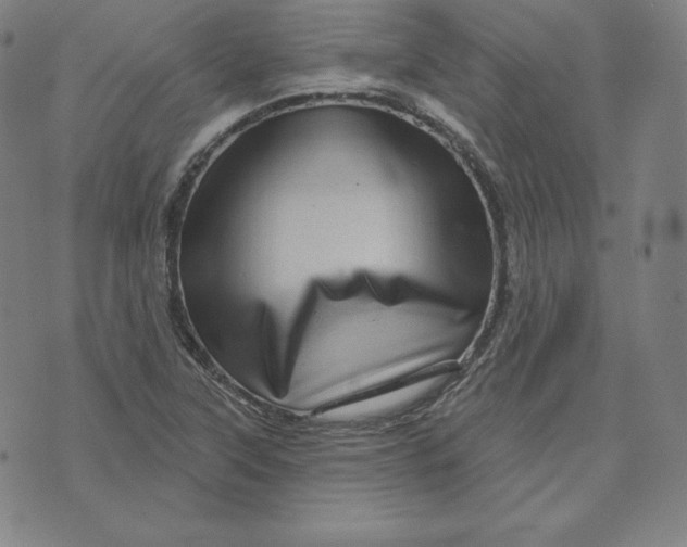 X0000073741315200608241312