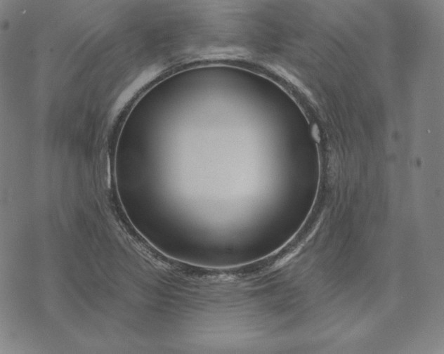 X0000073741317200608241312