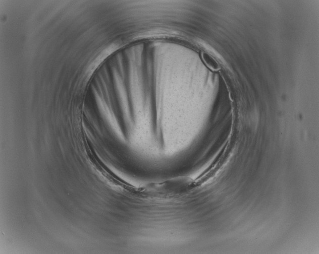 X0000073741329200608241312