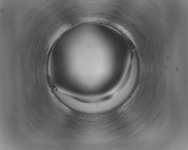 X0000073741330200608241312
