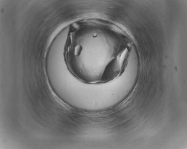X0000073741342200608241312