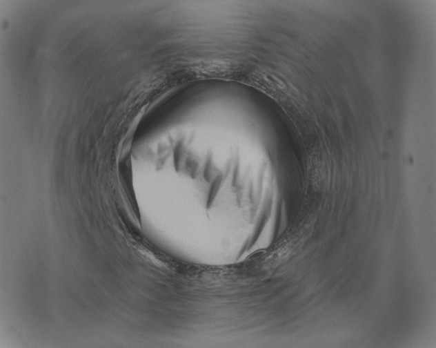 X0000073741345200608241312