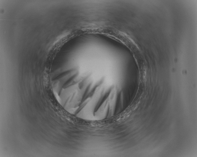 X0000073741350200608241311