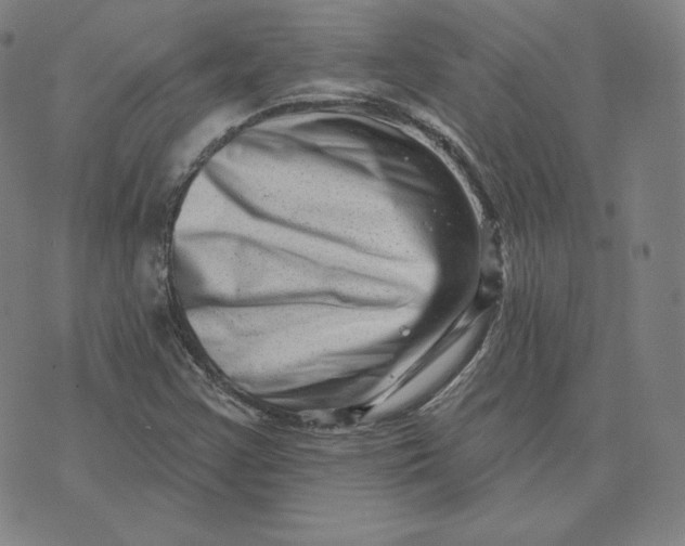 X0000073741355200608241311