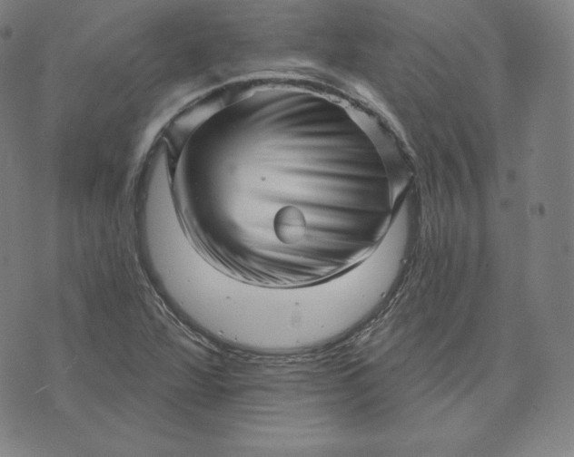 X0000073741360200608241311