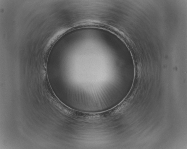 X0000073741363200608241311