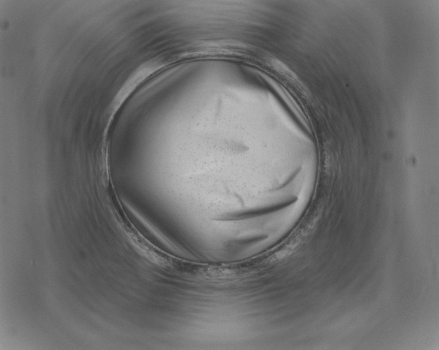 X0000073741370200608241311