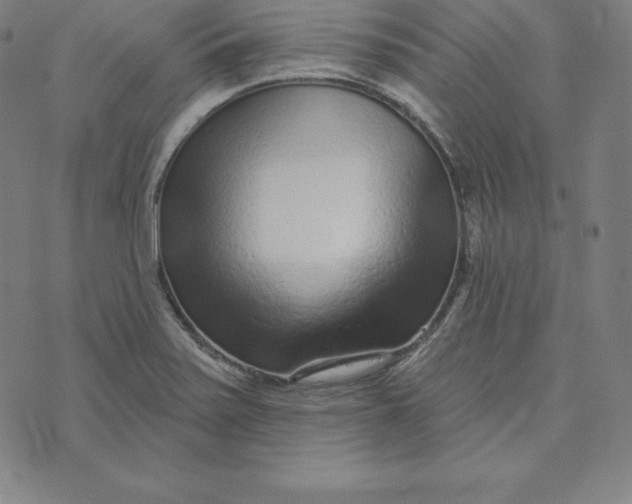 X0000073741371200608241311