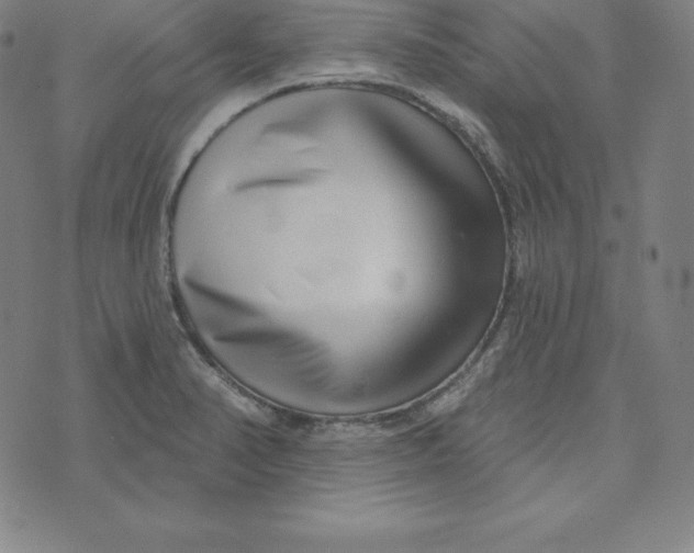 X0000073741374200608241311