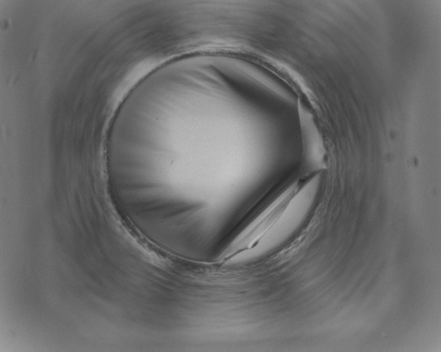 X0000073741375200608241311