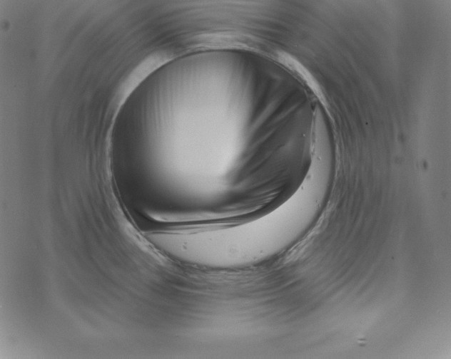 X0000073741386200608241311