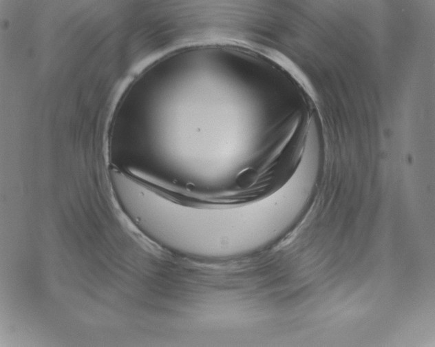 X0000073741388200608241311