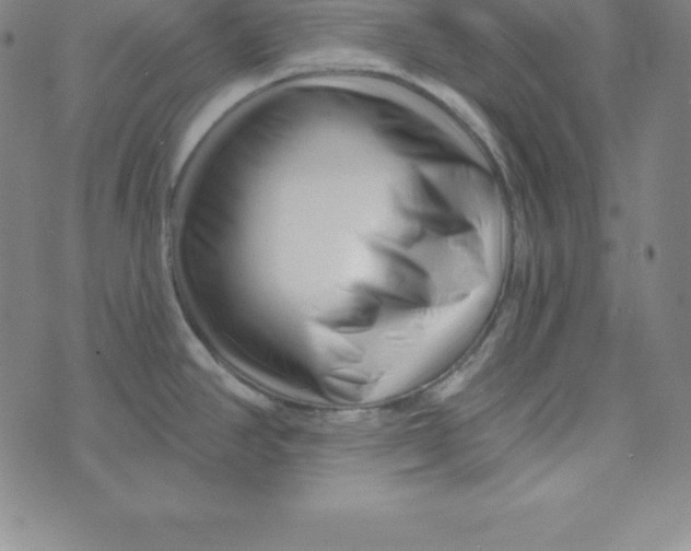 X0000073741390200608241311