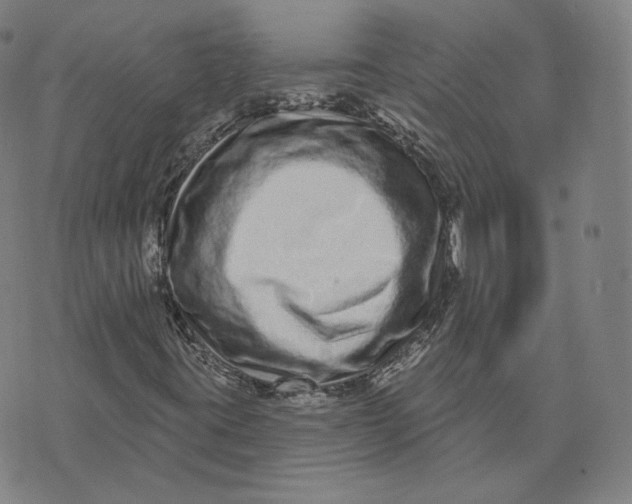 X0000073741395200608241310