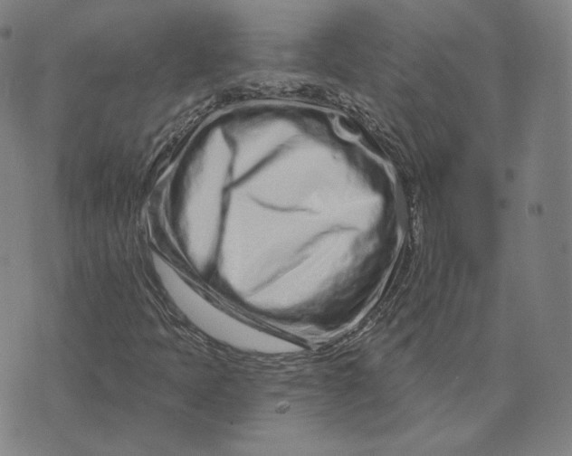 X0000073741397200608241310