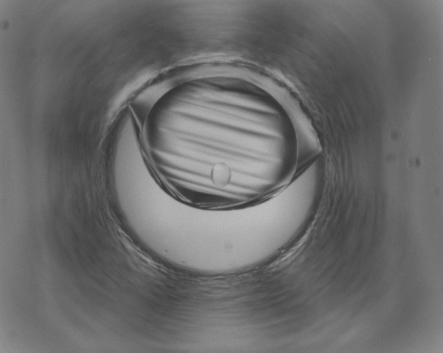 X0000073741406200608241310