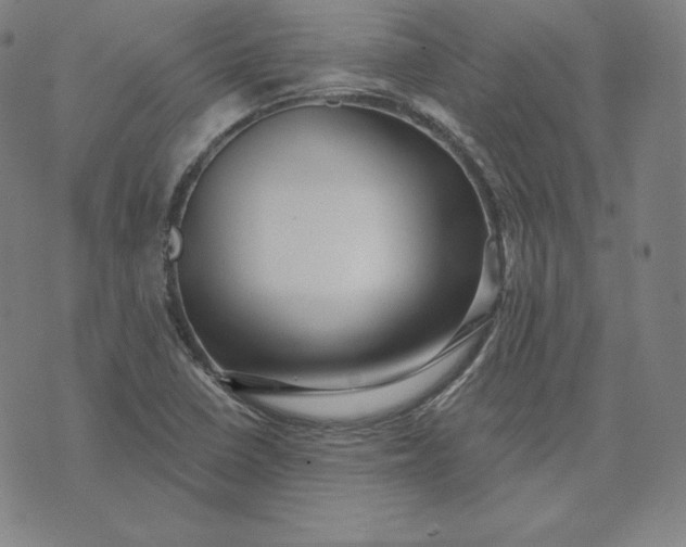 X0000073741410200608241310