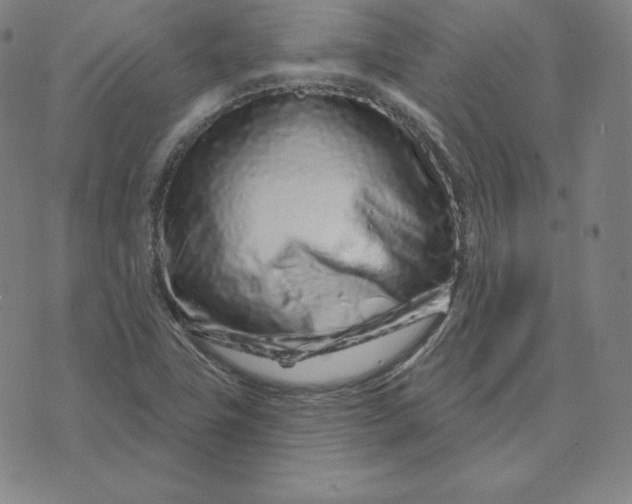 X0000073741411200608241310