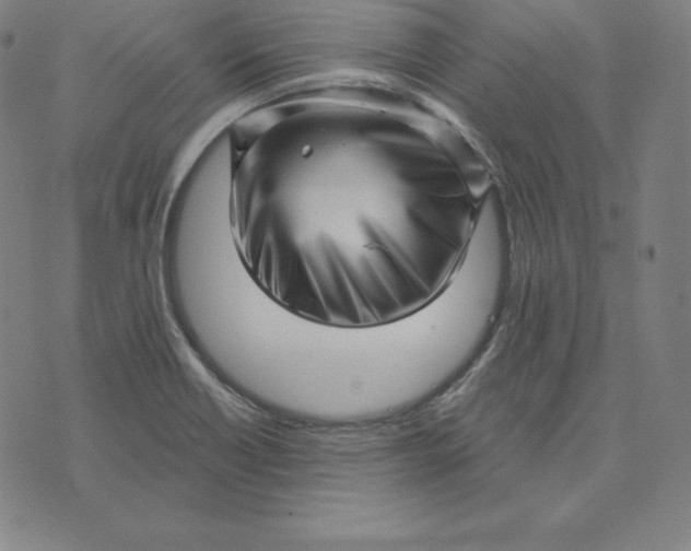 X0000073741418200608241310