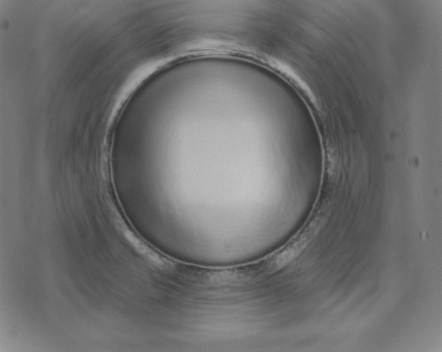 X0000073741421200608241310