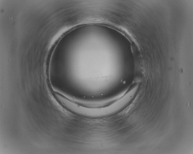 X0000073741422200608241310
