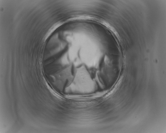 X0000073741425200608241311