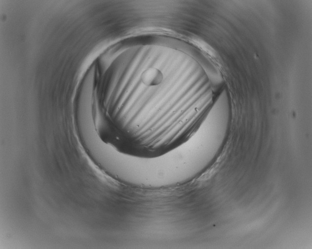 X0000073741430200608241311
