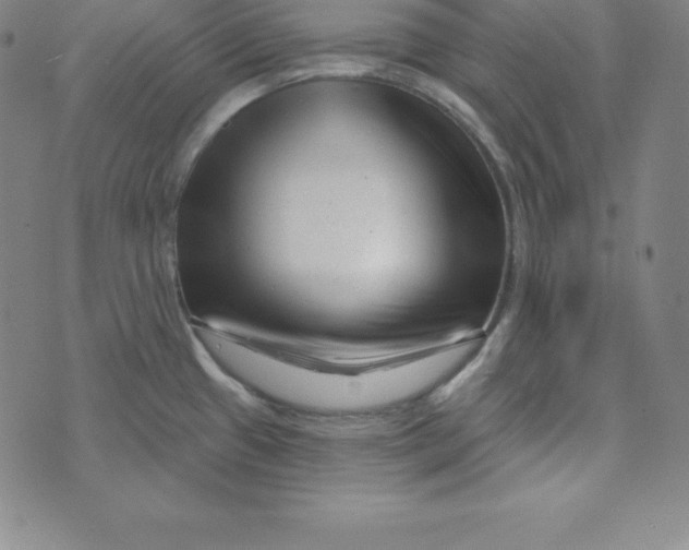 X0000073741433200608241311