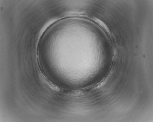 X0000073741435200608241311