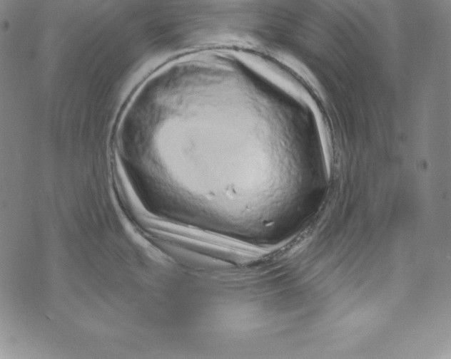 X0000073741439200608241311