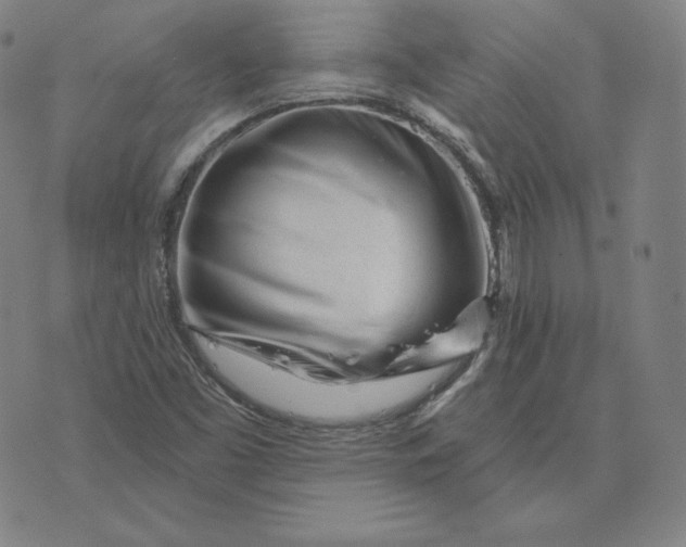 X0000073741453200608241310