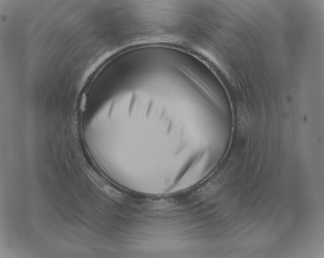 X0000073741460200608241310