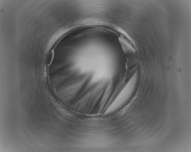 X0000073741461200608241310