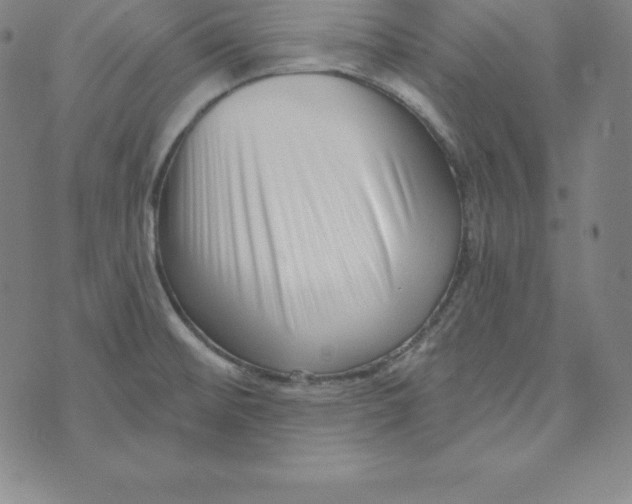 X0000073741476200608241309